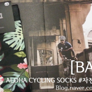 [BABICI] ALOHA CYCLING SOCKS #자전거 양말 추천