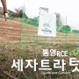 통영RCE 세자트라 '텃밭'가꾸기 프로젝트