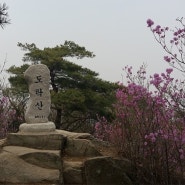 길 위의 즐거움! 경기도 양주 도락산(道樂山) 봄 산행