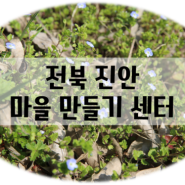 전북 진안 원강정 문화마을 선진지 견학