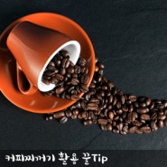 [커피찌꺼기활용] 커피찌꺼기 활용 팁
