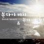 호주자유여행 :: 본다이비치 ( Bondi beach) & 본다이정션 (Bondi junction) !!