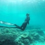 보홀 팡라오 프리다이빙, 나의 첫 바다 다이빙