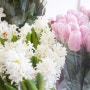 [런던 홈파티] 4월 파티, 꽃과 빙수 ^^