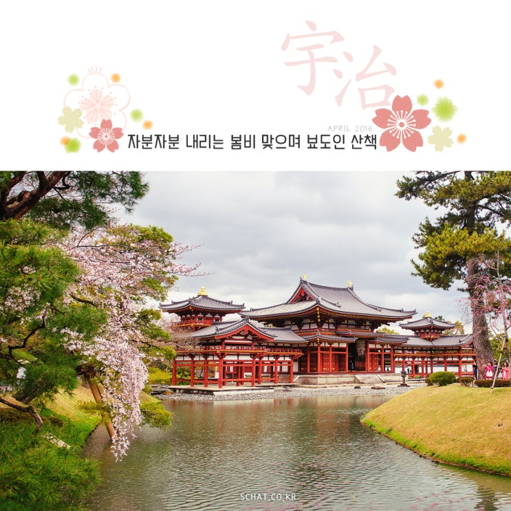 [교토 우지 여행] 뵤도인(平等院) :: 자분자분 내리는 봄비 맞으며 뵤도인 산책 : 네이버 블로그