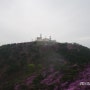 고려산 진달래축제 (2016-04-16)