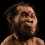 새인류, 호모 나레디(Homo naledi), 현대인과 원시인의 특징 모두 갖추고있어
