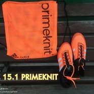 ACE 15.1 FG/AG PRIMEKNIT 에이스 15.1 프라임니트 실착리뷰!!