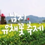 [경남 가볼만한곳] 남지 유채꽃축제