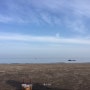 4월의 제주 < 특별한모래, 삼양검은모래해변>