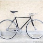 벨로라인 루시 밸런스 세련된 디자인의 픽시 자전거