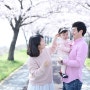 부산가족사진 :: 벚꽃과 함께 스냅촬영.
