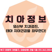 임산부 치과검진, 태아 치아건강을 좌우한다고 합니다.