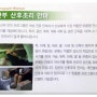 인천산후조리안마 국가대표안마센터 인천 연수구 옥련동
