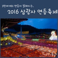 부산가볼만한곳/부산여행] 3만여개의 연등이 밝히는 2016 삼광사연등축제