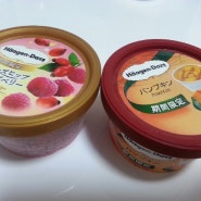 하겐다즈 펌킨 Haagen Dazs pumkin