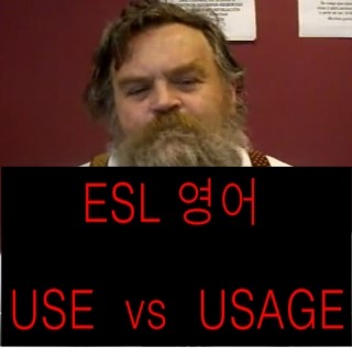 외국어번역행정사의 ESL영어, USE와 USAGE의 차이, The difference between USE and USAGE ...