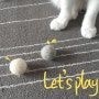 [모모제리] 고양이 장난감 꿀잼볼
