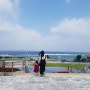 4살 아이와 함께 하는 오키나와 여행 5일차 :: 해양박공원, 카진호우, 렌터카반납, 나하공항면세점