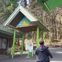 [일본여행] 큐슈여행3탄 - 다카사키야마 자연동물원 (원숭이동물원)