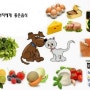 [애견상식] 애견음식,애견 강아지 영양 섭취하는법, 강아지 음식