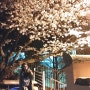 인천 데이트 장소 :: 자유공원 벚꽃길