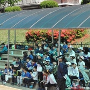 초등학교 운동회 / 큰공주 2학년 운동회