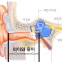 [난청 이야기] 전음성 난청