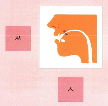 (발음 치료, 조음음운장애 치료) 치조마찰음 /ㅅ,ㅆ/ 조음, 발음 방법 : 네이버 블로그