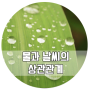 [K-water서포터즈10기/로맨水]물지식 정보 7탄 : 물과 날씨