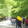 [전북여행]내소사 전나무 숲
