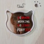 [덴마크워홀] DAY 312 :: 미야오! 고양이 카페