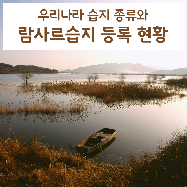 우리나라 습지 종류와 람사르습지 등록 현황 : 네이버 블로그