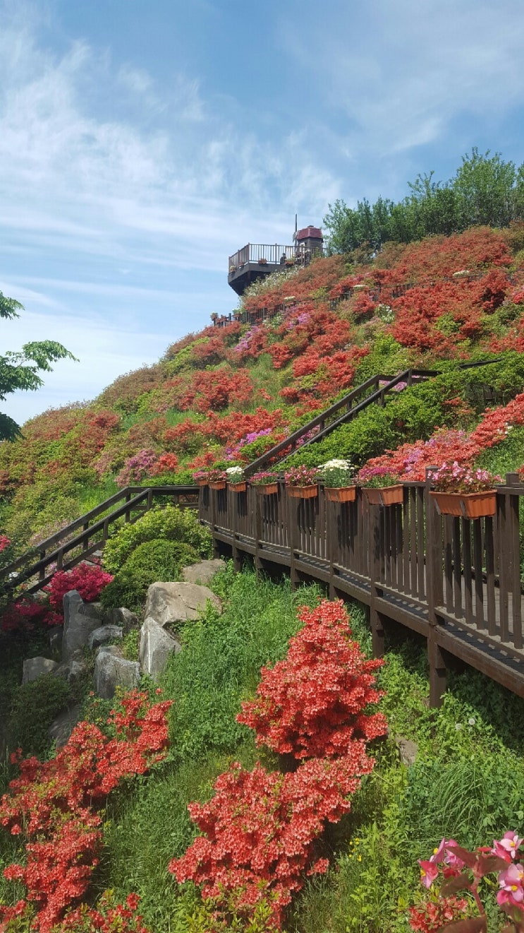 (당진여행) 농심테마파크