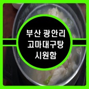 부산 광안리 속 시원한 고마 대구탕