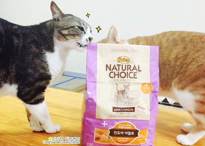 고양이 사료 추천) 뉴트로 네추럴초이스 인도어! 설사멈춤 : 네이버 블로그
