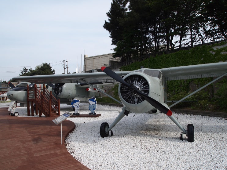 [포항 항공역사박물관]해군6전단:항공역사관