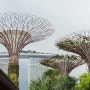 싱가폴 여행 - 가든스바이더베이