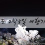 [제주도 2박3일 여행기-4] 2015.12.12-14 용두암/용연구름다리/이호테우해변 야경속으로~