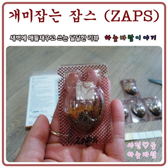 개미 이젠 안녕~~ 잡스(ZAPS)로 개미퇴치 확실하게!! : 네이버 블로그