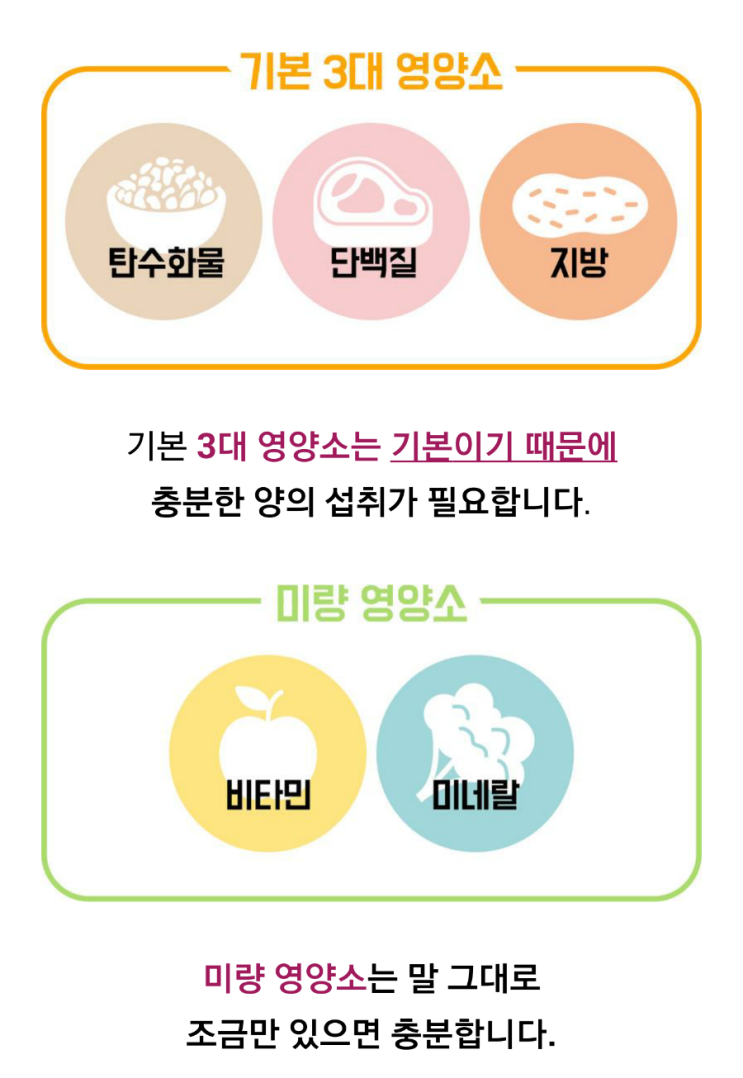 기초3대 영양소 : 네이버 블로그