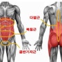 코어근육이 어느정도 중요하냐면..