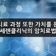 도덕적 가치와 치료과정의 가치를 둔 세렌클리닉의 수지상세포백신 박셀®.