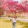 #토론토 하이파크 , 벚꽃은 한국에서 봐야하나봉가 20