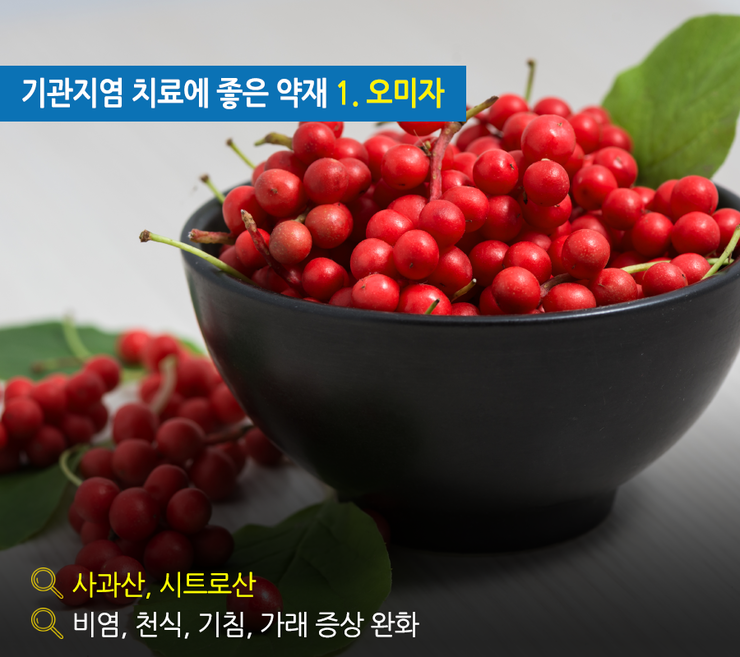기관지에 좋은 한의학 약재 5가지 : 네이버 블로그