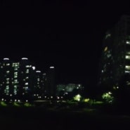 정관신도시 장미공원 야간산책 다녀왔습니다.