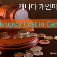 개인파산시 드는 비용은 얼마입니까? (파산비용 결정요인 4가지) What Is the Costs and Fees for Bankruptcy in Canada?