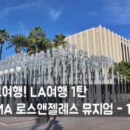 나홀로여행! LA여행 1탄 - LACMA 로스앤젤레스 카운티 뮤지엄 -1