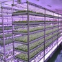 LED 농생명 연구 성과 '탁월'