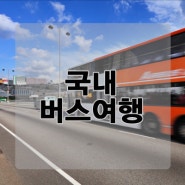 [버스여행]국내계절별/시즌별 버스를 이용한 패키지 여행을 떠나요~!